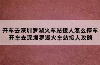 开车去深圳罗湖火车站接人怎么停车 开车去深圳罗湖火车站接人攻略